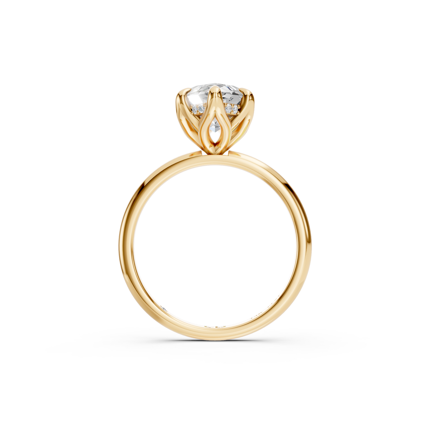 Tulip Halo - Marquise