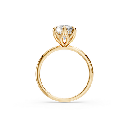 Tulip Halo - Marquise